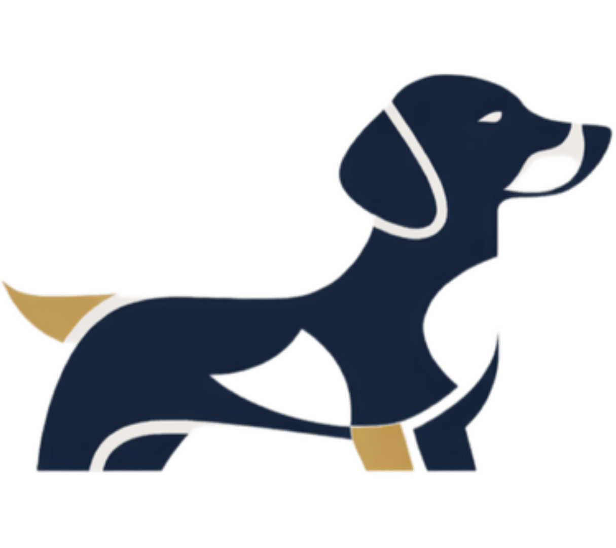 Piebald Capital